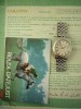 Rolex Oyster Perpetual DateJust watch ref 1601 (1974) Box & Papers